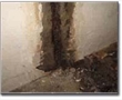 专业地下室沉降缝堵漏